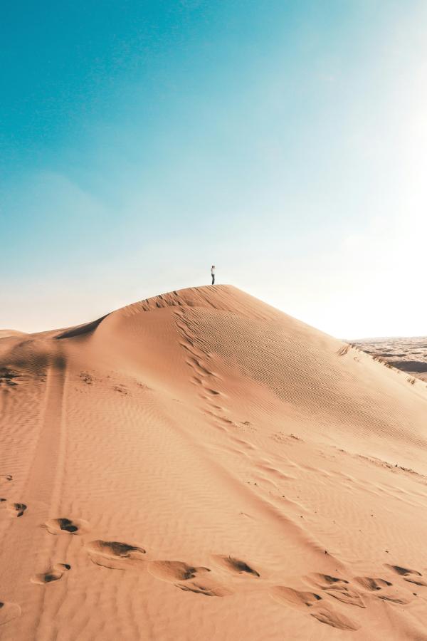 Wahiba Sands desert dunes at sunset Oman