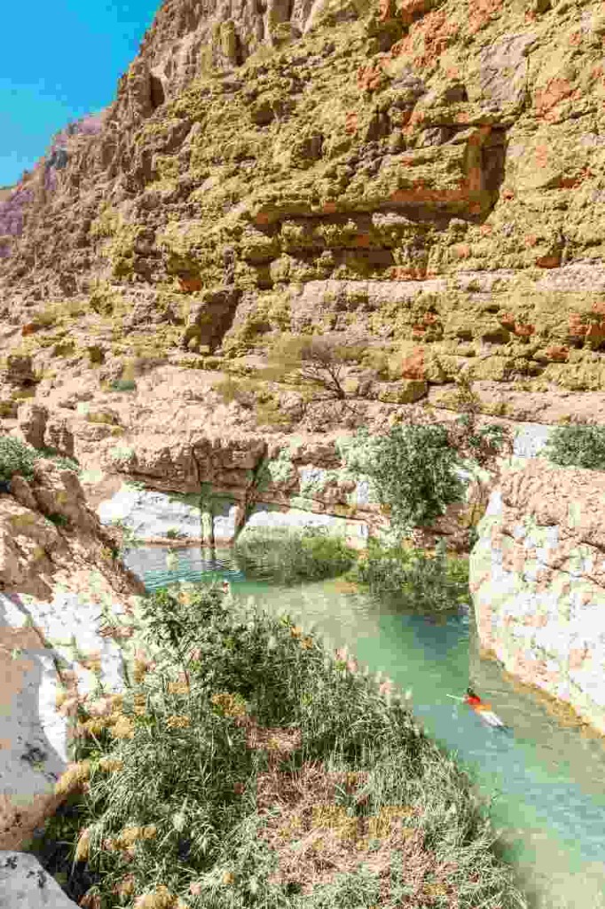 A person floating in a clear green pool beside shrubs and a rocky cliff