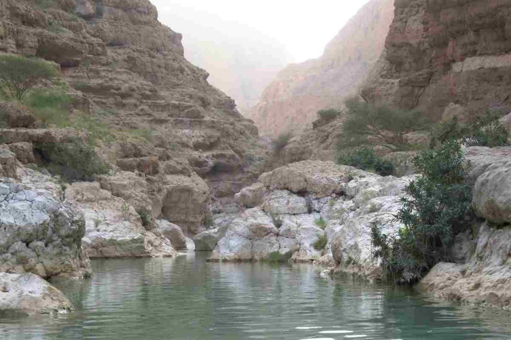 A green wadi pool enclosed by pale boulders, shrubs and steep valley walls