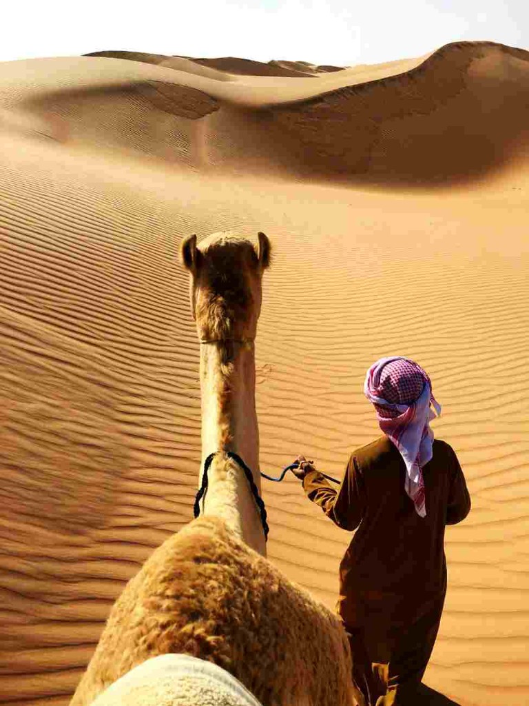Camel trek on sand dunes with a handler in a brown dishdasha and red-and-white headscarf leading the camel