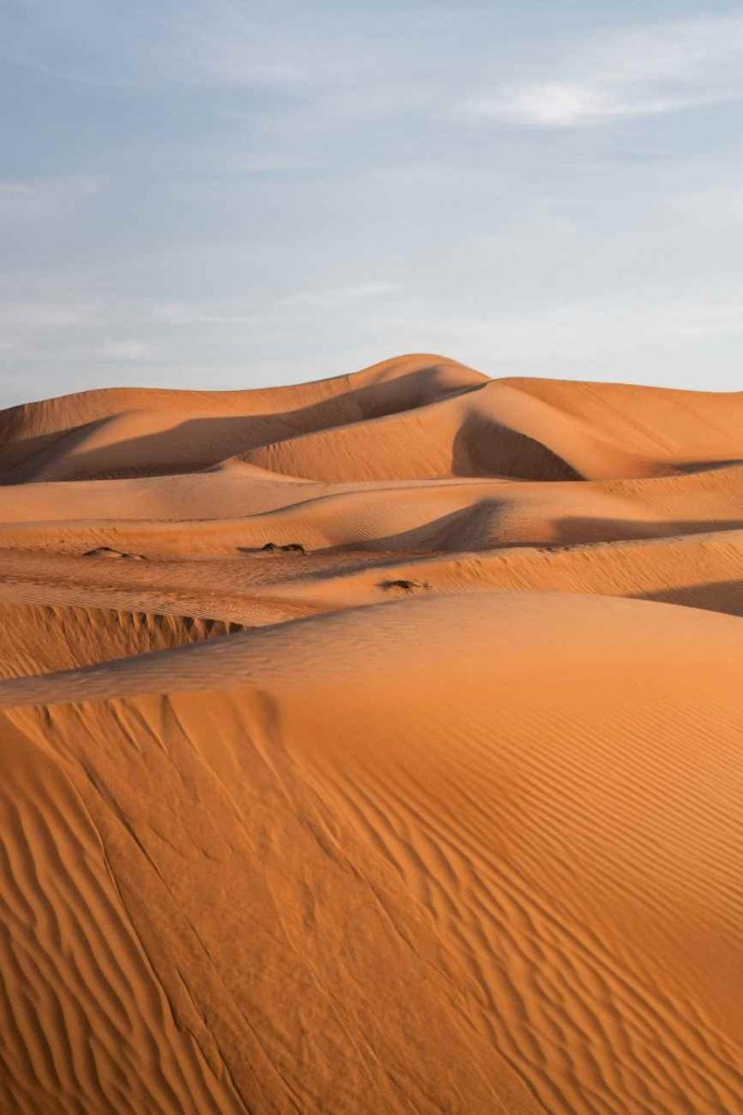 Wahiba Sands desert dunes in Oman in dry December light