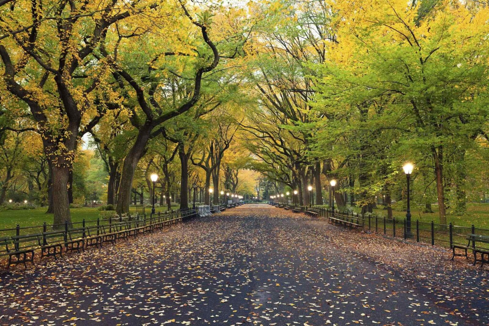 https://omantour.in/wp-content/uploads/2018/09/destination-new-york-02.jpg