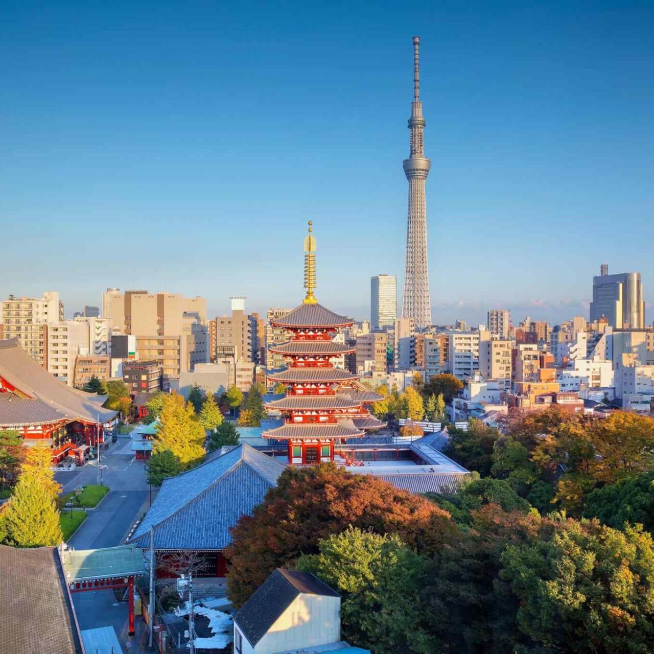 https://omantour.in/wp-content/uploads/2018/09/destination-tokyo-04-1280x1280.jpg