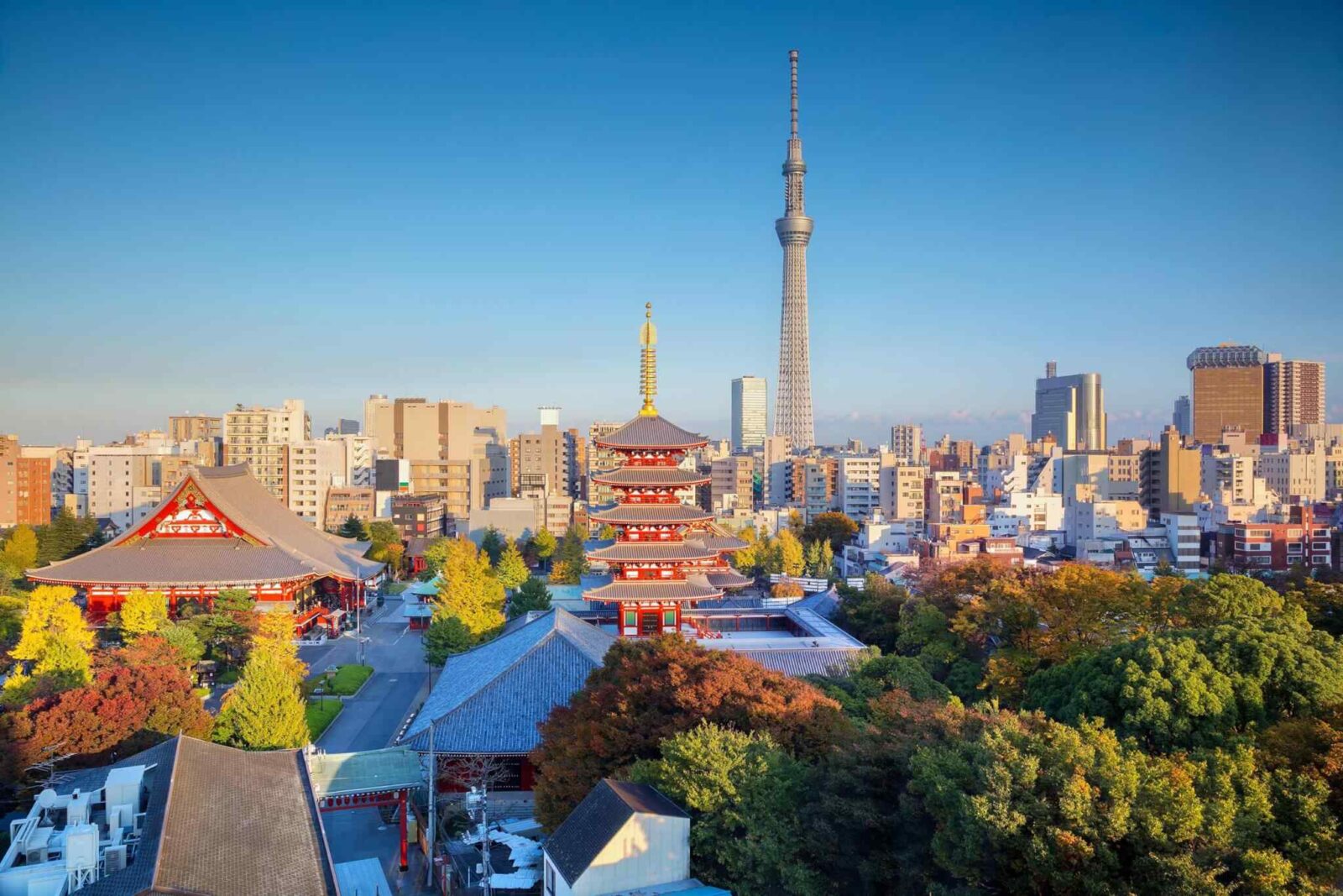 https://omantour.in/wp-content/uploads/2018/09/destination-tokyo-04.jpg