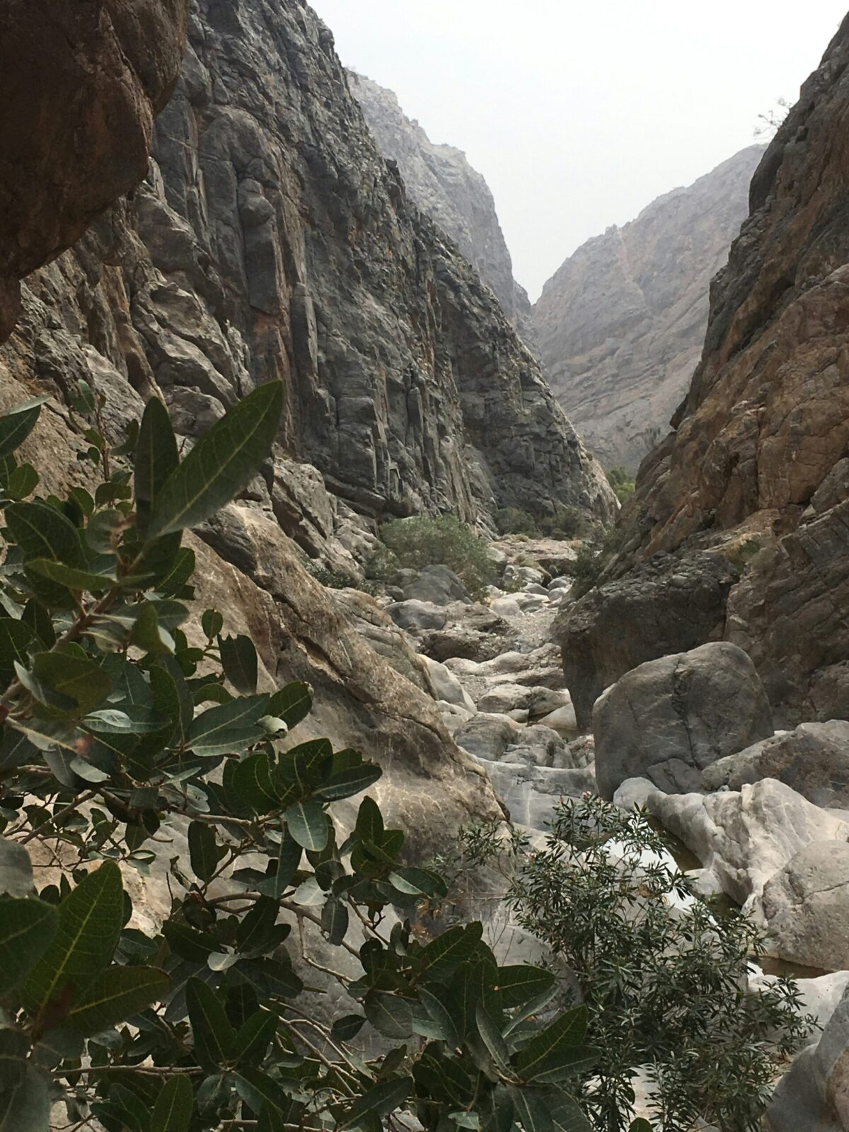 Wadi Shab, Ash Sharqiyah North Governorate