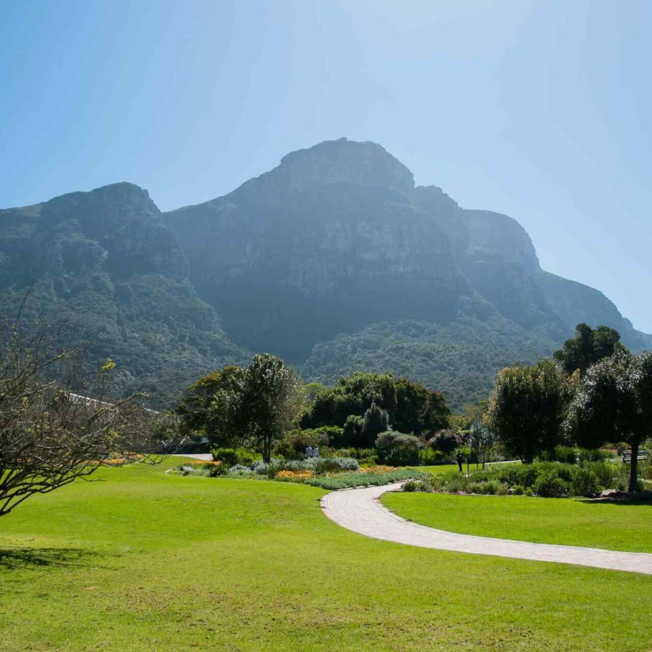 https://omantour.in/wp-content/uploads/2018/09/tour-capetown-03-1280x1280.jpg