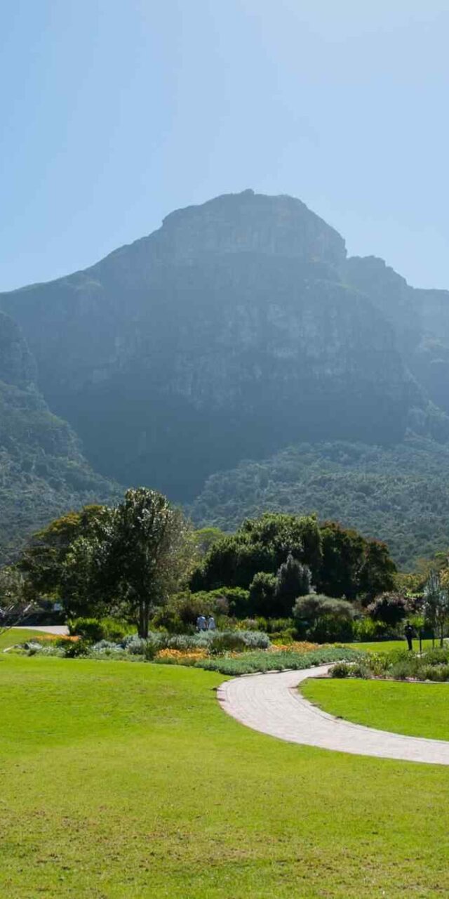 https://omantour.in/wp-content/uploads/2018/09/tour-capetown-03-640x1280.jpg