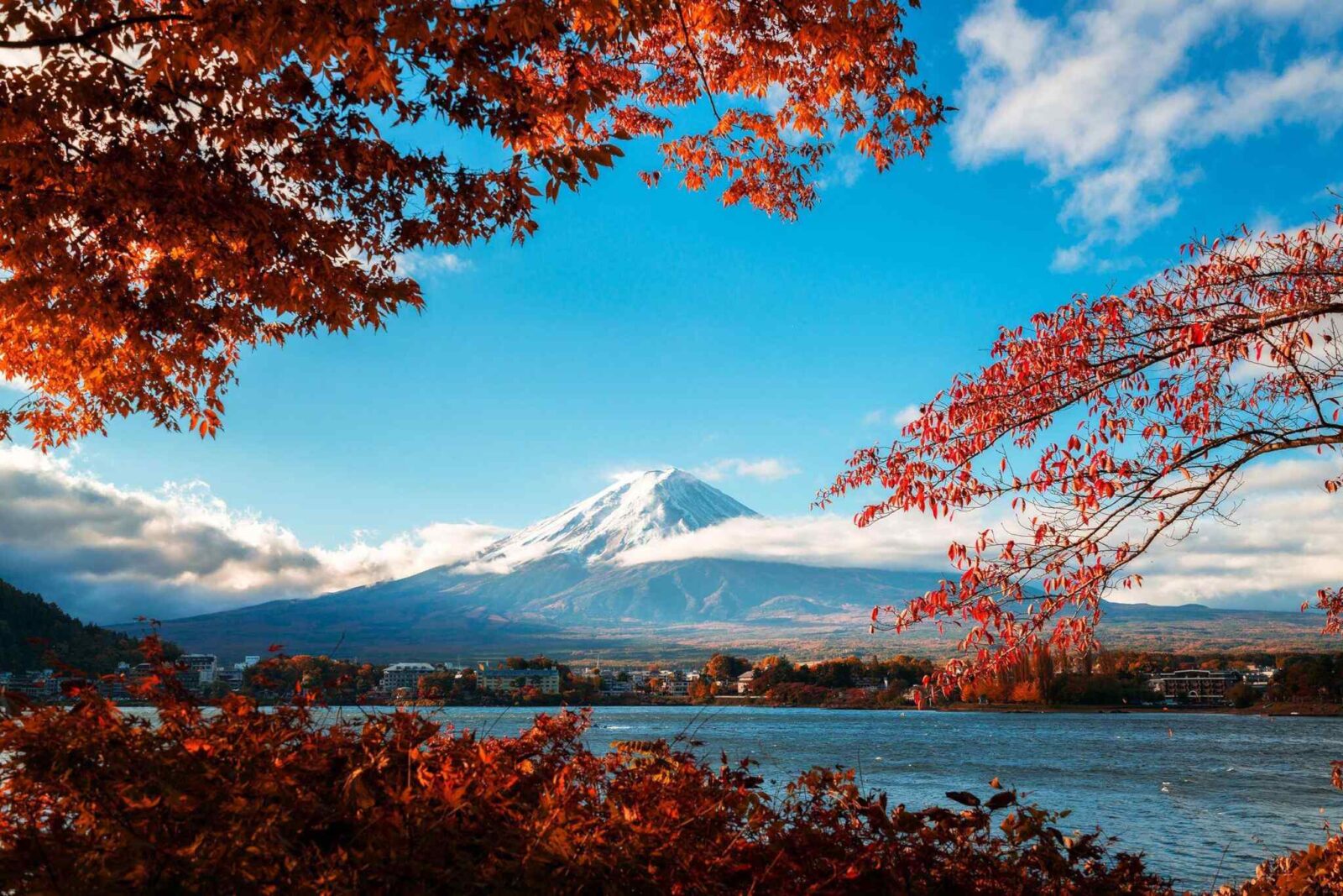 https://omantour.in/wp-content/uploads/2018/09/tour-fuji-04.jpg