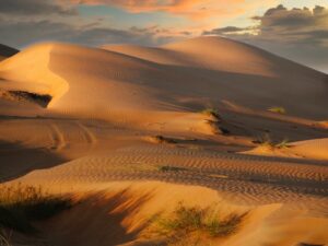 Oman Wahiba Sands Tour