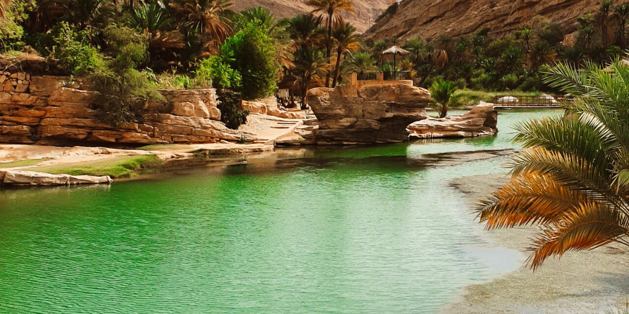Wahiba Sands Desert & Wadi Bani Khalid Full-Day Tour from Muscat