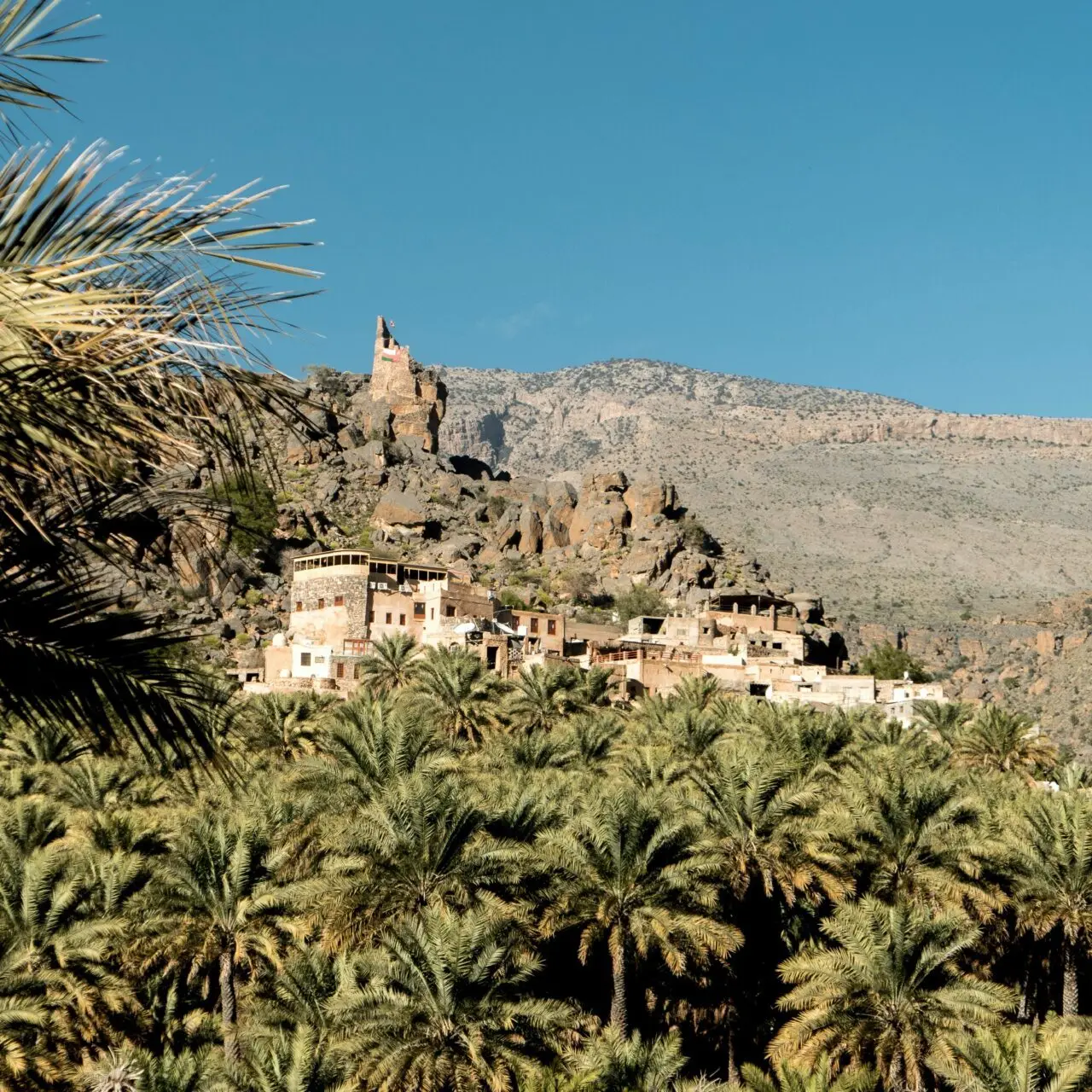 Muscat to Misfat Al Abriyeen Day Trip: Explore Oman's Hidden Mountain Village