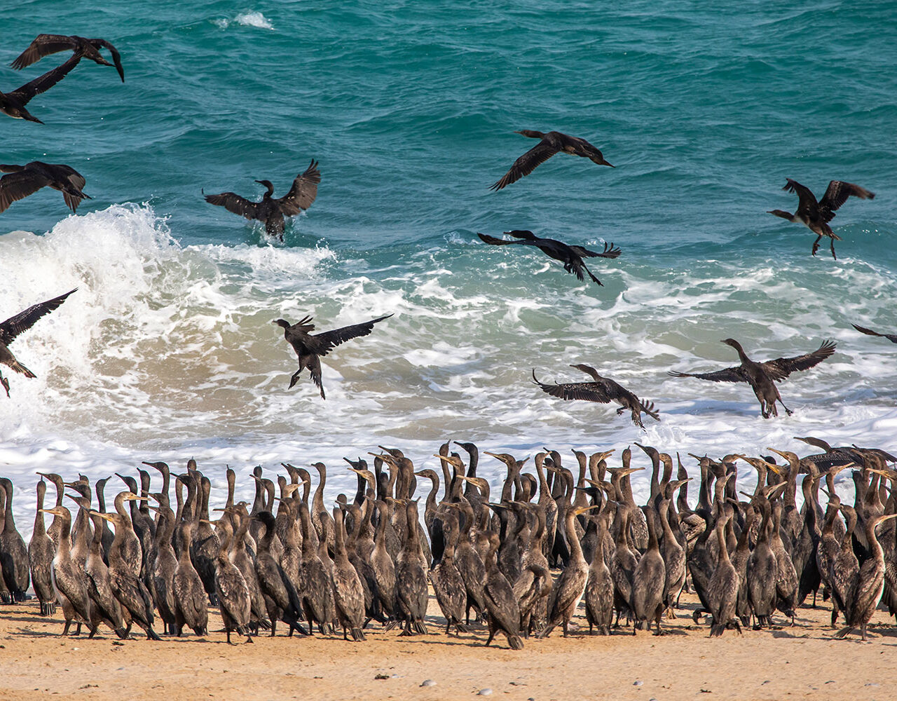 Best Oman Tour Packages from Muscat – Top Trips & Excursions