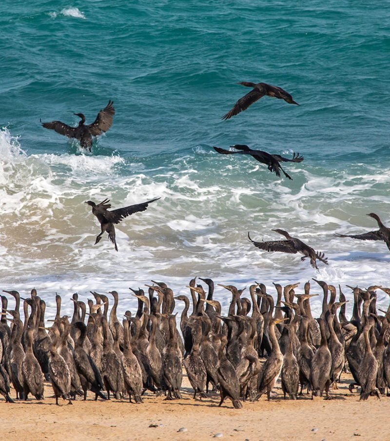 Best Oman Tour Packages from Muscat – Top Trips & Excursions